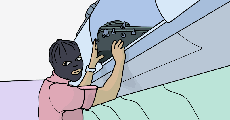Thief on a plane