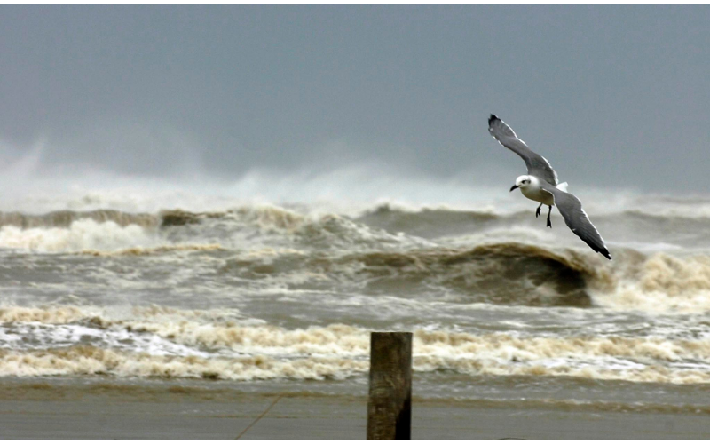 Warm ocean water surging with a hurricane